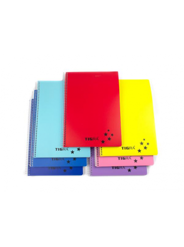 Caiet A4 cu spira si coperti din plastic, 120 file - velin