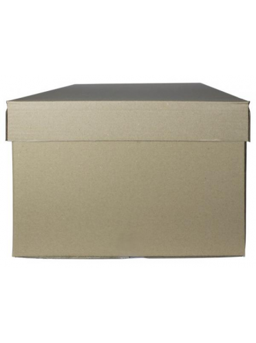 Container arhivare cu capac detasabil si manere 538*382*275(poate stoca 7 bibliorafturi de 7.5cm sau 3 cutii arhivare de 15cm)